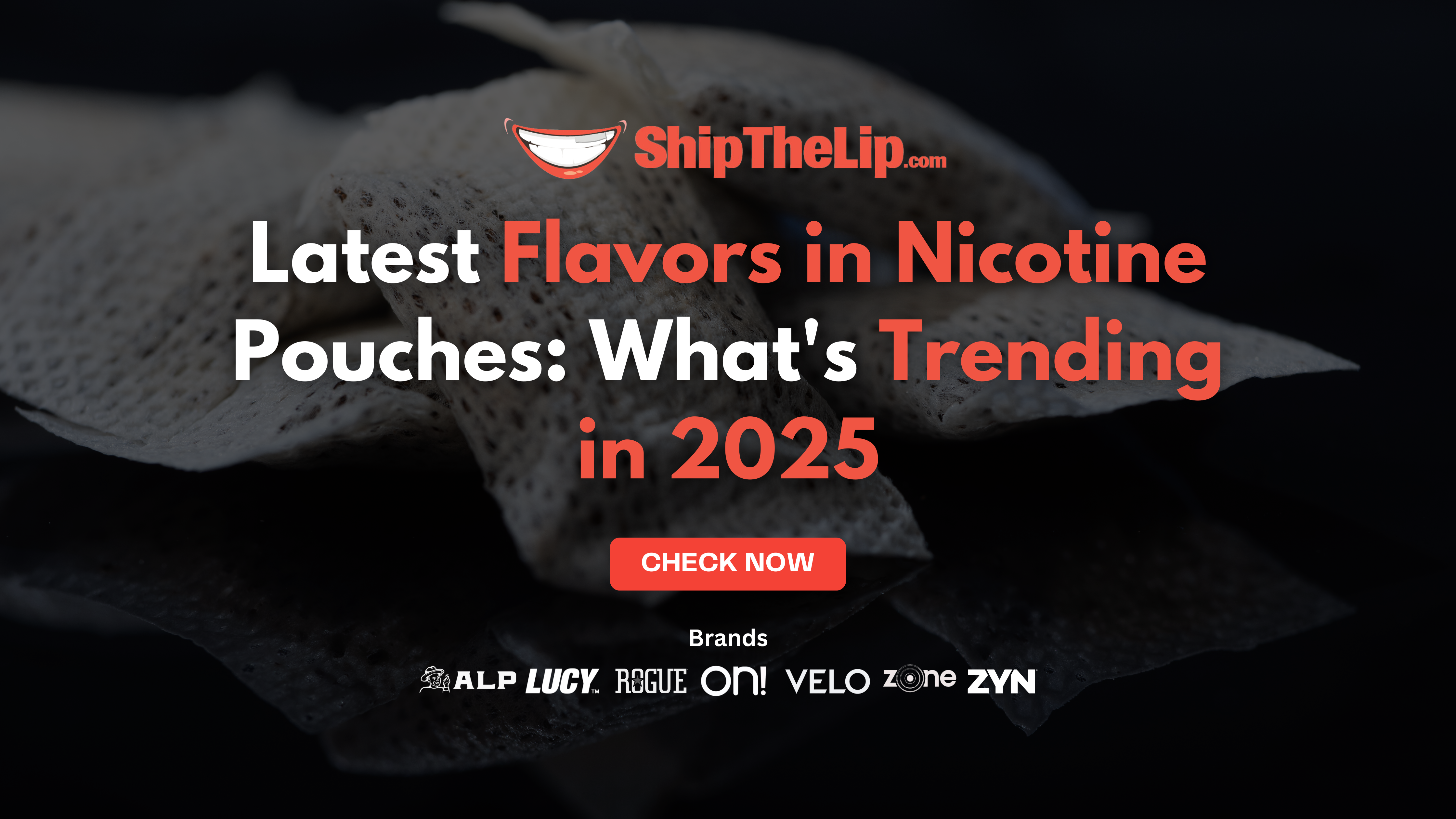 Exploring the Latest Flavors in Nicotine Pouches: What's Trending in 2025
